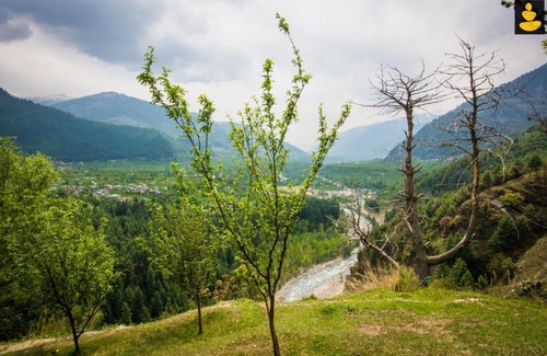 Manali Casa | LivingStone Valley View Homestay Manali