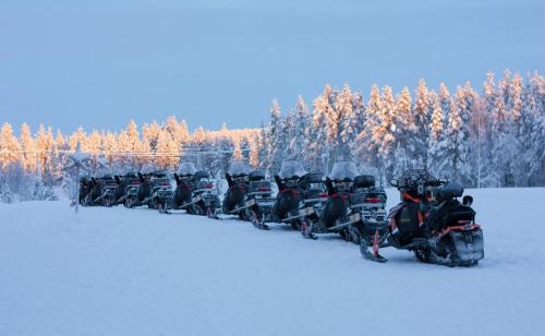 Posio Complejo | Livo Arctic Resort