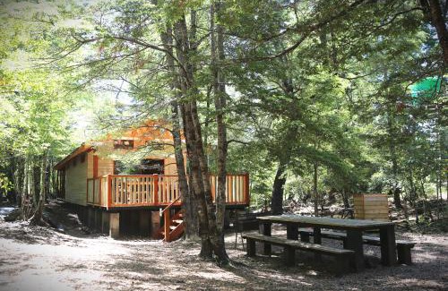Curacautin Cabina | Llaima Camp