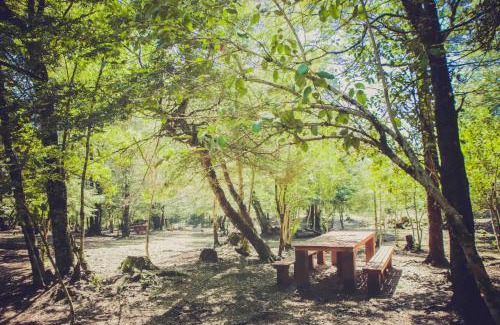 Curacautin Cabina | Llaima Camp