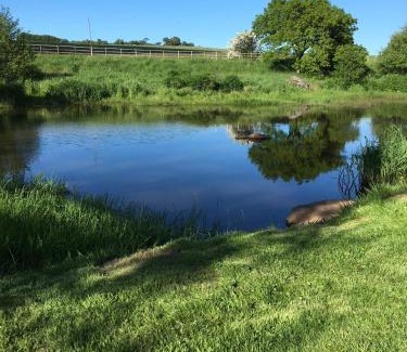 Rhydlydan Cama Y Desayuno | Llwyn Onn Guest House, North Wales