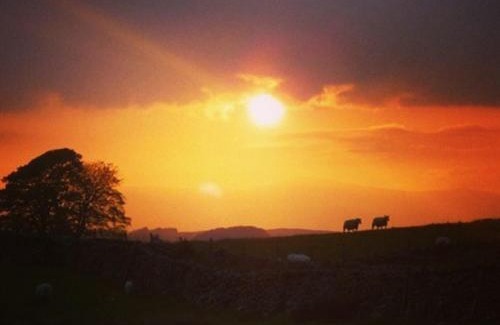 Rhydlydan Cama Y Desayuno | Llwyn Onn Guest House, North Wales