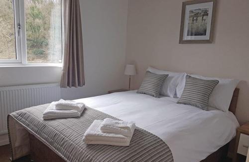 Newport Complejo | Llwyngwair Manor Holiday Park