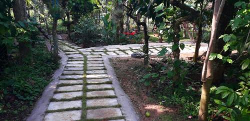 Amalavayal Casa | Lo Adoro Tree Hut Tourist Homestays