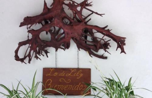 Embalse Casa | Lo de Lily