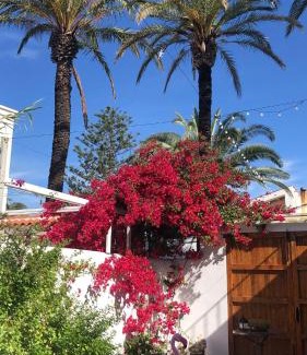 Poble Nou del Delta Casa | Lo Segador