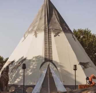 Nogal Otro | Lobo Tipi at El Mistico Ranch