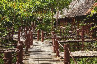 Loboc Complejo | Loboc River Resort