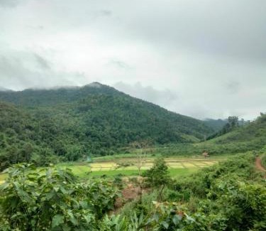 Luang Namtha Otro | Local Adventure Laos