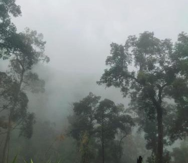 Luang Namtha Otro | Local Adventure Laos