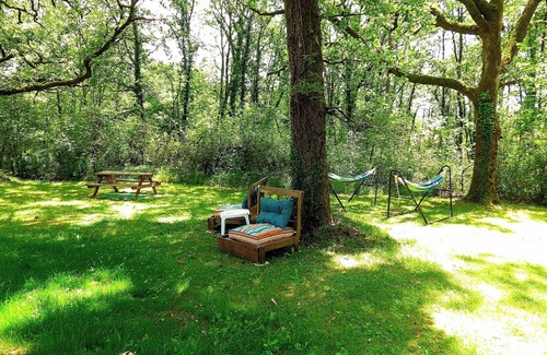 Baladou Casa | Situado en un bosque tranquilo.