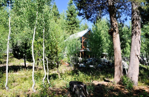 Ponderosa Cabina | Ubicado en 15 acres hermosos en el prado de Kramer, Ponderosa, muy privado