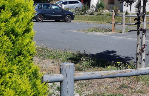 Le Vivier-sur-Mer Apartamento | Location La Palourdine sur mer