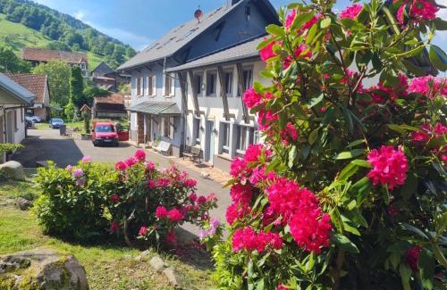 Sondernach Casa | Locations des 3 sommets avec Sauna et Spa en Alsace