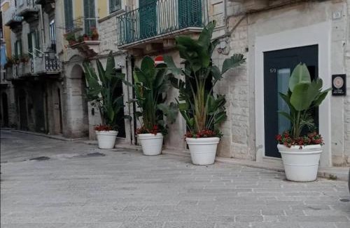 Trani Apartamento | Locus Pendinelli Trani 53-The philosophy of a bb, the details of a Hotel