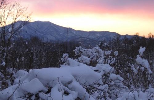 Myoko Cabina | Lodge Amenouo