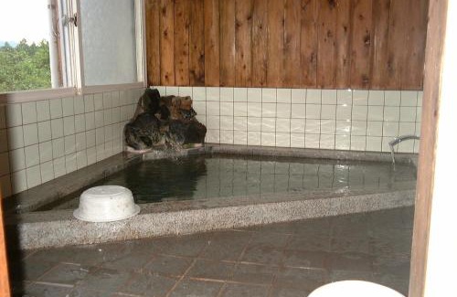 Myoko Cabina | Lodge Amenouo