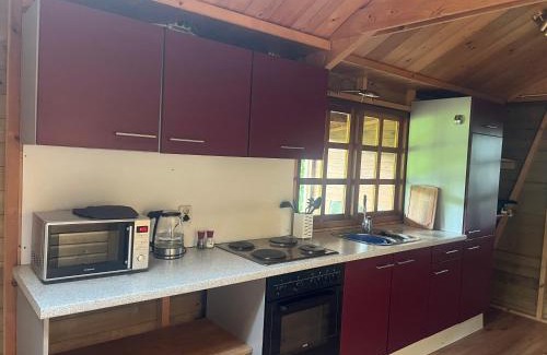 Zevenhuizen Cabina | Lodge De ijsvogel bij Bolmeer Lodges