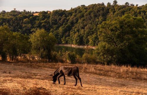 Pinay Casa | Lodge Grand Confort - 1h de Lyon - Vue sur Loire