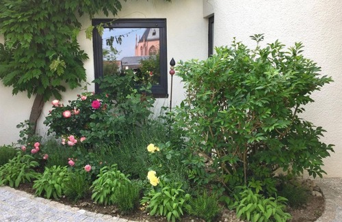 Mainz-Bingen Apartamento | Oppenheim Lofts - Loft 1 - 45 sqm/apartment, shower, WC