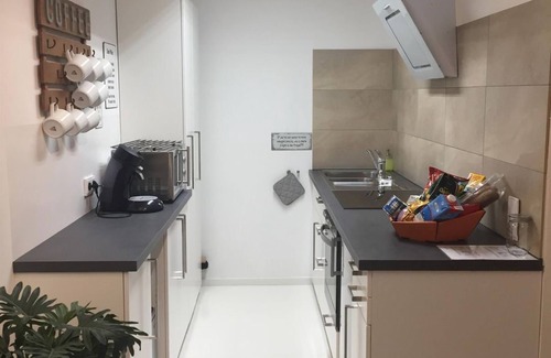 Mainz-Bingen Apartamento | Loft 2 - Oppenheim Lofts