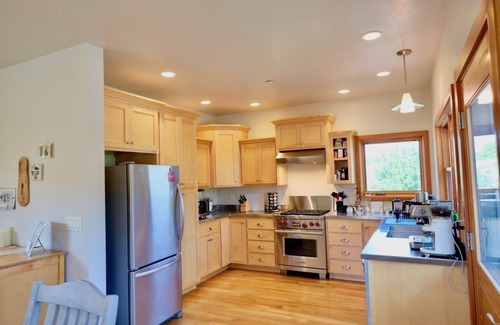 Mount Shasta Casa | Loft @ 420 on Chestnut