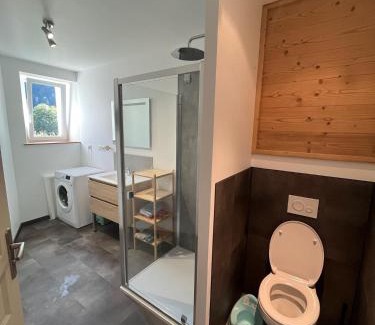 Saint-Maurice-sur-Moselle Apartamento | Loft 5 personnes type chalet avec jardin