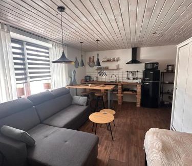 Sluknov Apartamento | Loft Apartments