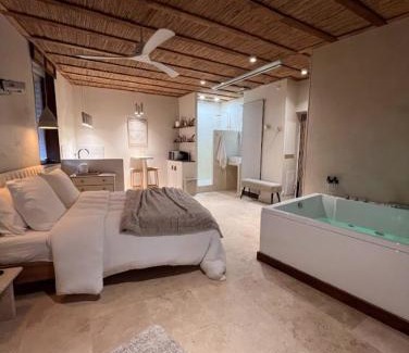 Gaillac Apartamento | Loft Balneo