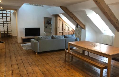 Oloron-Sainte-Marie Apartamento | Loft dans les Pyrénées