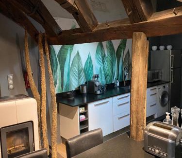Montbeliard Apartamento | Loft i gemelli