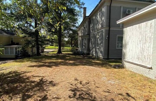 Greater Belhaven Apartamento | Loft in Historic Mims-Dreyfus House in Belhaven