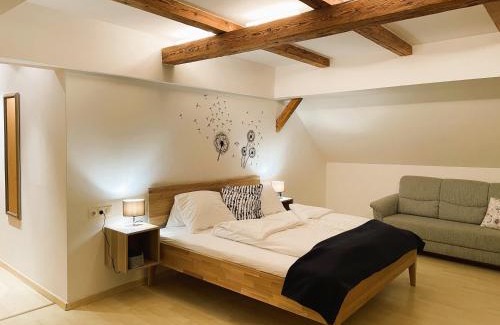 Annaberg im Lammertal Apartamento | Loft Krämerhaus Annaberg, Dachstein West