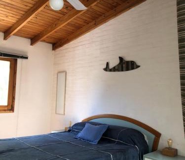 Cipolletti Apartamento | Loft Manzanares