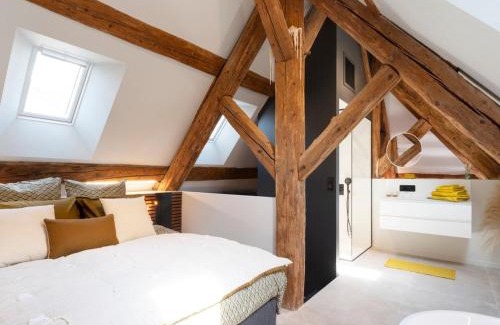 Nancy City Centre Apartamento | Loft moderne au charme ancien, climatisé, près de la Place Stanislas - FR-1-584-352