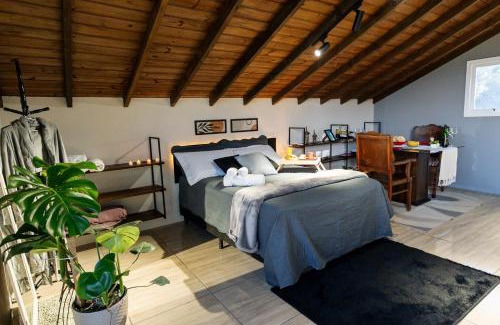 Osorio Casa | Loft no Morro da Borússia