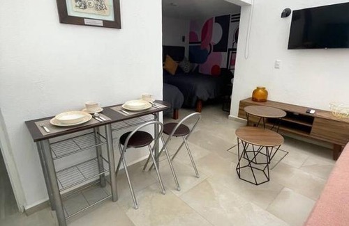 San Luis Potosi Apartamento | Loft Polanco Parque 1