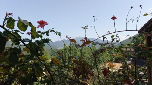 Ferrieres sur Ariege Casa | Loft rural - terrasse parking et vue