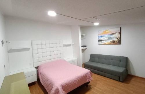 Apizaco Apartamento | Loft Santa Rosa