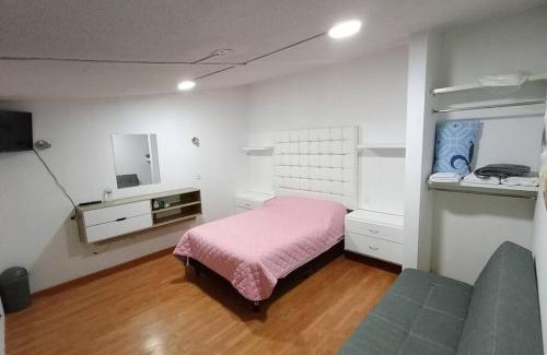 Apizaco Apartamento | Loft Santa Rosa