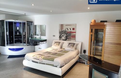 Agen Apartamento | Loft Zen SPA Balneo Parking Gratuit Sauna Hammam Billard