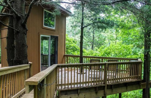 Stanley Cabina | Log Cabin and Treehouse