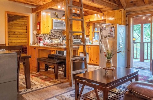Mill Ridge Cabina | Log Cabin - mtn. view, 3 decks, fire pit, bunk room, pool and pet friendly