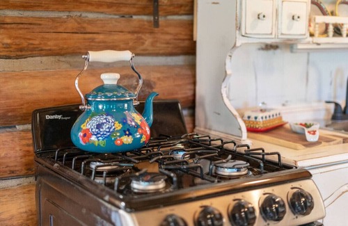 Rudy Cabina | Log cabin on 100 acres-Wifi-Kitchen-Wildlife-The Happy Hound