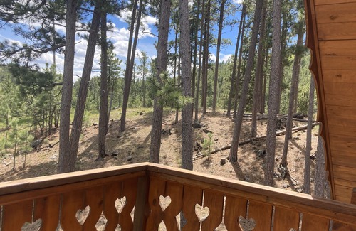 Rapid City Cabina | Log cabin nestled in ponderosa pine - 5 mi between Pactola and Sheridan Lakes