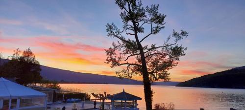 Duingt Apartamento | Logement atypique avec vue unique panoramique sur le lac d’Annecy, dans une résidence avec plage et ponton privée sur la commune de Duingt (Rive gauche du lac).
