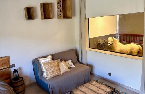 Bargemon Apartamento | Logement atypique - Chevaux Miniatures Rhéa Horses