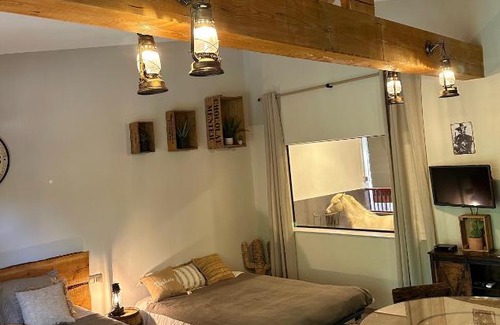 Bargemon Apartamento | Logement atypique - Chevaux Miniatures Rhéa Horses