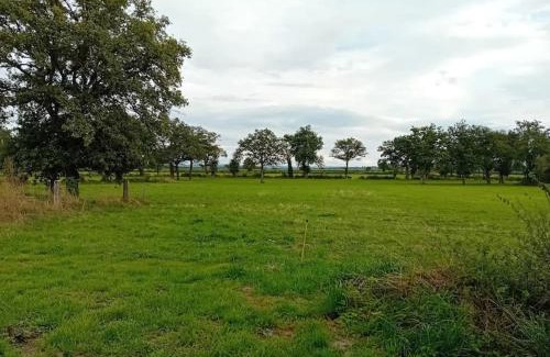 Neris-les-Bains Apartamento | Logement dans la campagne nérisienne
