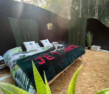 Saint-Evarzec Otro | Logement insolite "Bubble jungle"